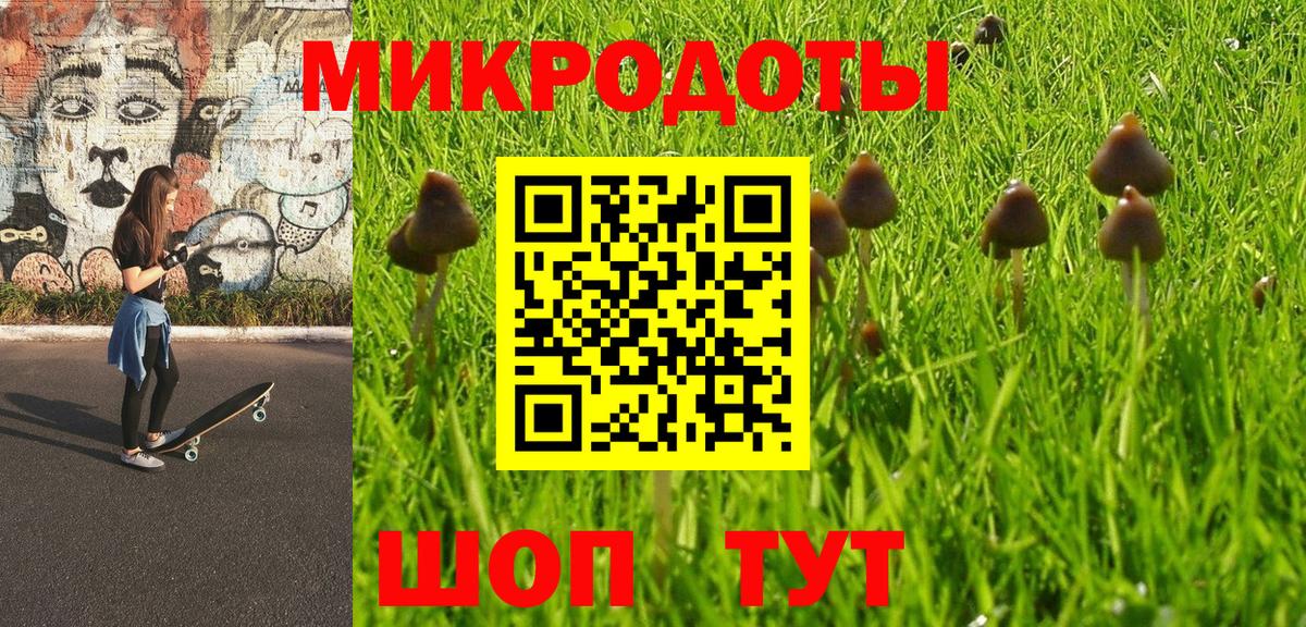 Псилоцибиновые грибы мухоморы Каспийск