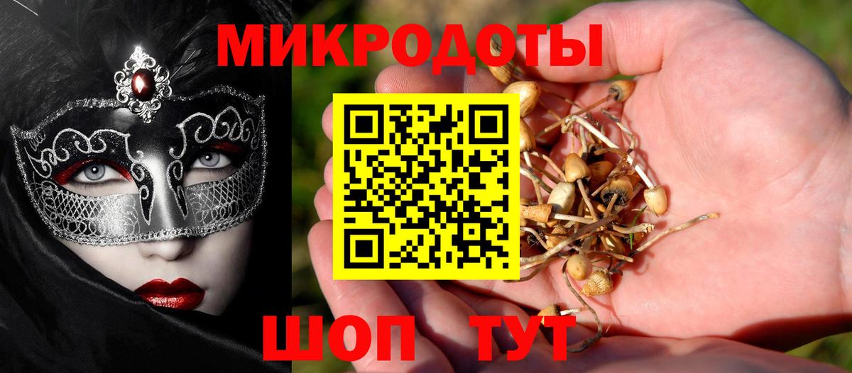 Каспийск  Псилоцибиновые грибы Psilocybine cubensis  Галлюциногенные грибы GOLDEN TEACHER  Вход с VPN 
